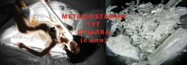 индика Беломорск