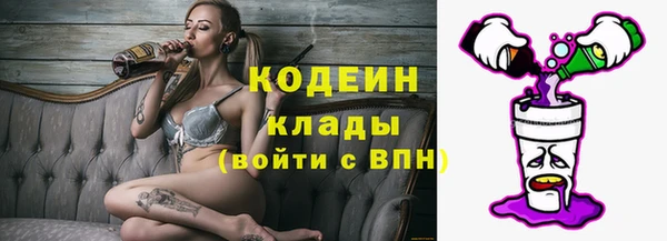 индика Беломорск
