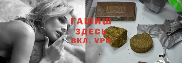 индика Беломорск