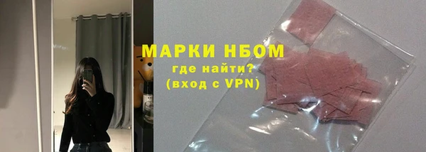 индика Беломорск