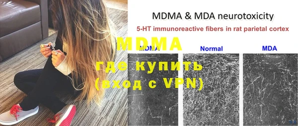 индика Беломорск