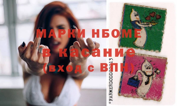 индика Беломорск
