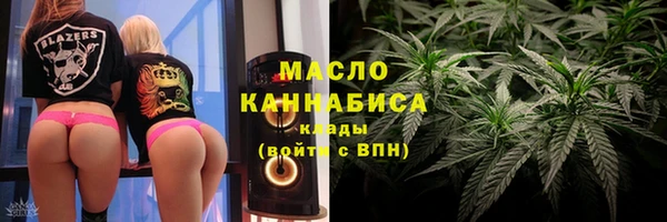индика Беломорск