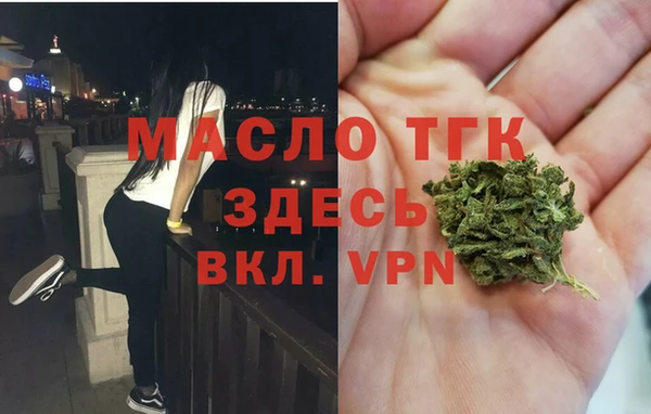 индика Беломорск