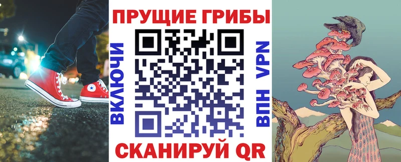 KRAKEN онион  где найти наркотики  Ясногорск  Псилоцибиновые грибы мицелий 