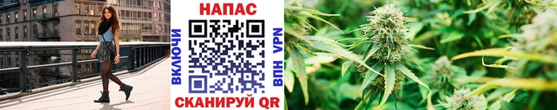 Бошки марихуана SATIVA & INDICA  kraken ссылки  Ясногорск 
